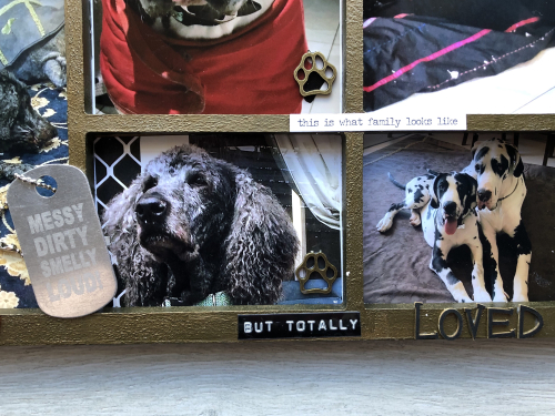 Dogs (11)