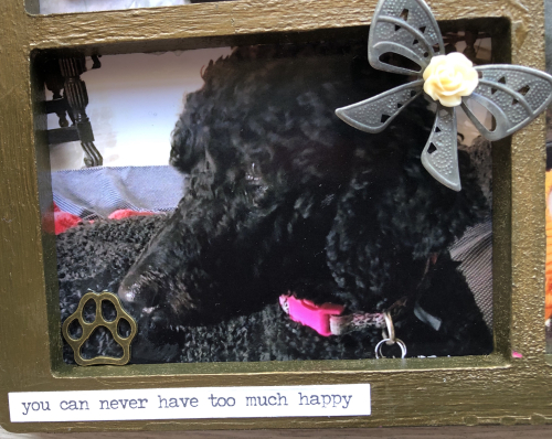 Dogs (11)